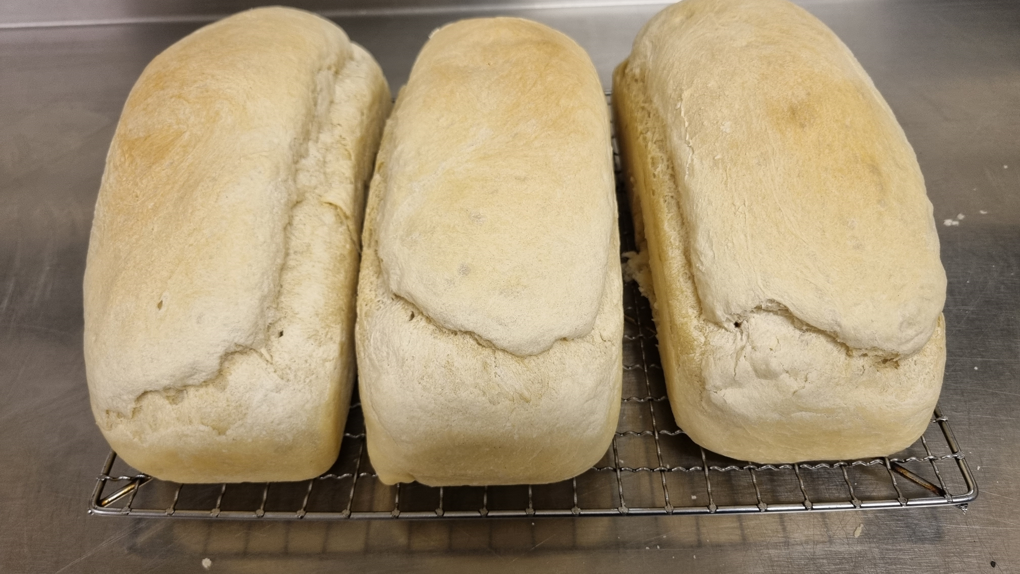 three perfect loaves of tasty, tasty white bread resting on a cooking rack